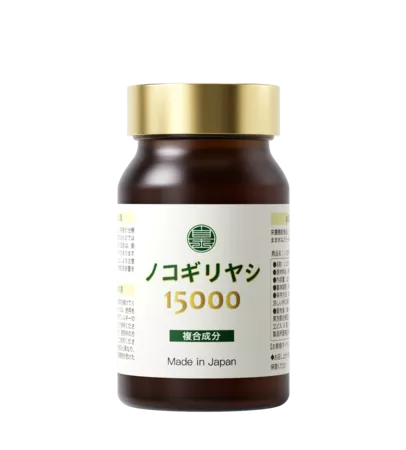 ノコギリヤシ15000